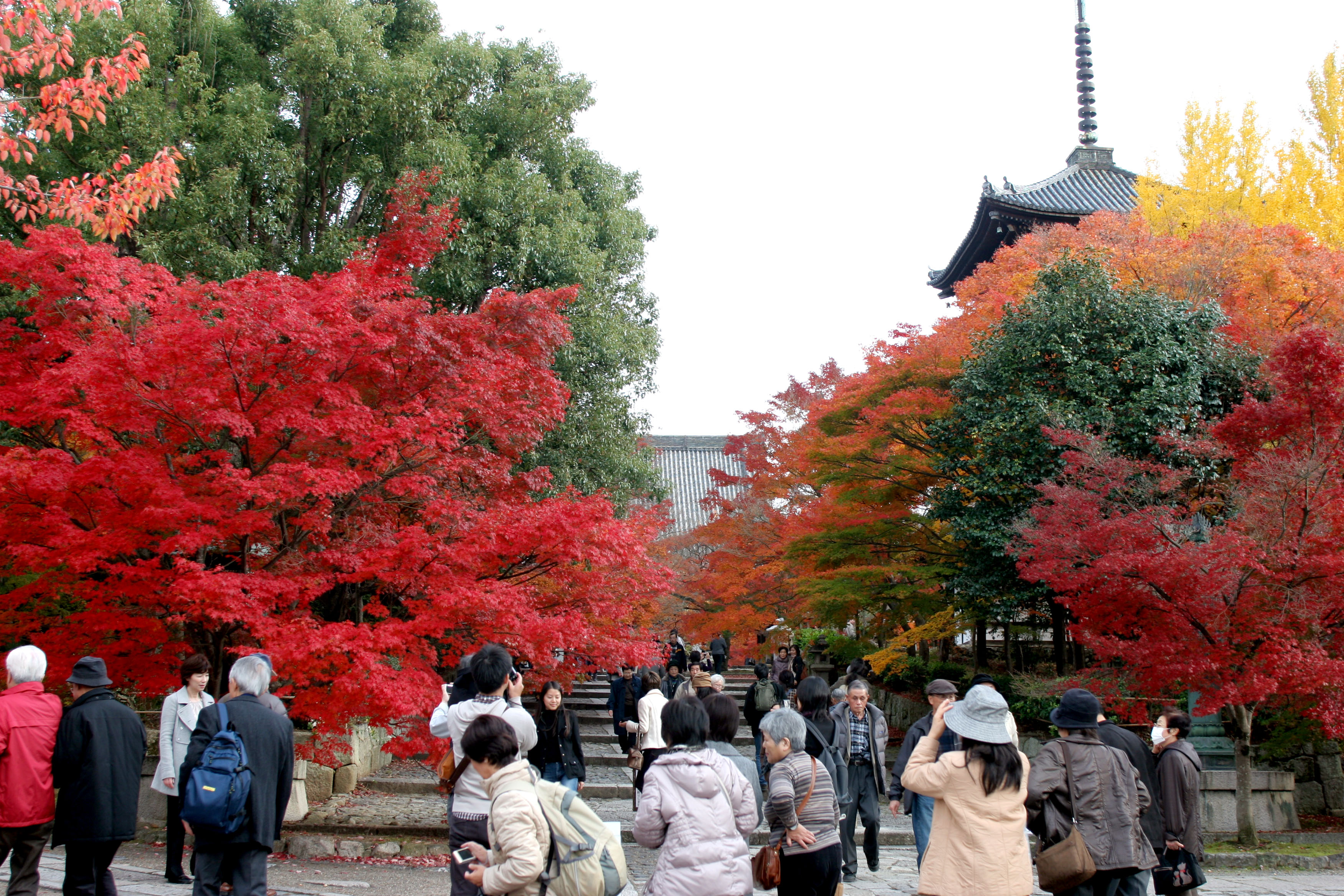 10 11 25 真如堂 吉田神社 紅葉